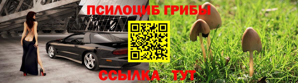 Иркутск  Псилоцибиновые грибы мухоморы  Вход с VPN 